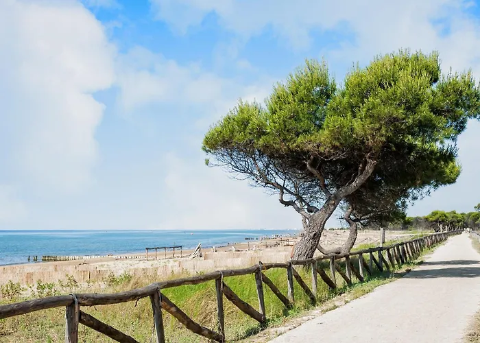 Beachside Comfort On First Floor Бібіоне